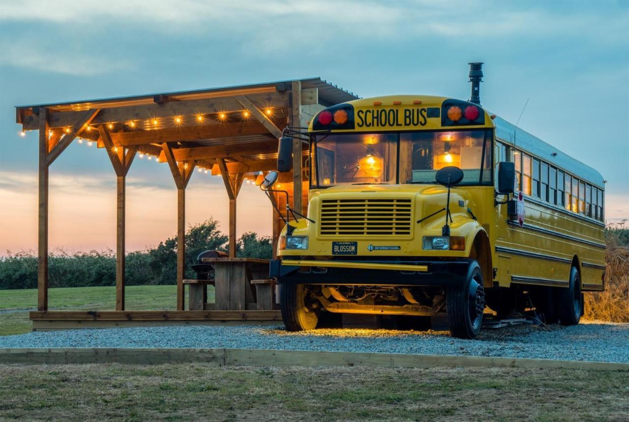 American School Bus - 1 Bedroom - Blossom Farm - Tiers Cross Johnston Eksteriør bilde