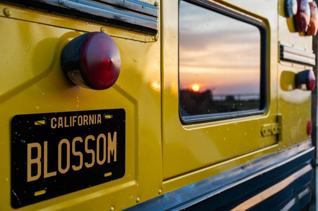 American School Bus - 1 Bedroom - Blossom Farm - Tiers Cross Johnston Eksteriør bilde